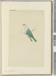 F.12 Due. Ny Kaledonien, 1772-75 (wc)