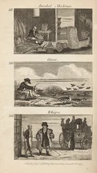 Handler i Regency England: kurvfremstilling, gæsplukning og piske