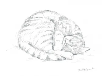 Tegning af en sovende kat