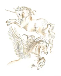 Enhjørning og Pegasus