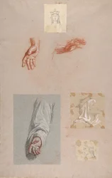 en. Hænder af Saint Remi lavere register, f. Leder af Saint Clotilde øverste register..., 1800-tallet