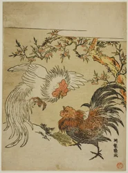 Haner, der kæmper under et træ
