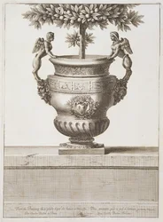 Bronzeurner som brugt til citrustræer, illustration fra 