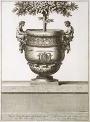 Bronzeurner som brugt til citrustræer, illustration fra 
