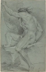 Nøgen figur (akademisk undersøgelse)