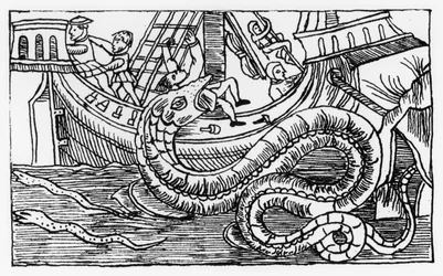 En havslange, fra "Historia de Gentibus Septentrionalibus" af Olaus Magnus (1490-1557) udgivet i Rom i 1555