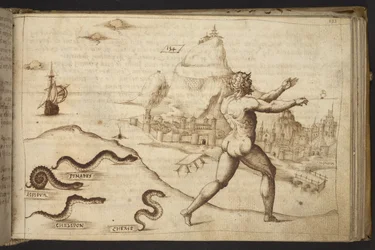 Tilføje. 82955, f.133   Slanger, der forfølger en menneskelig figur.  , fra Historia Animalium, (bestående af 245 pen-og-blæk-tegninger af forskellige dyrearter og mytiske væsner, hver ledsaget af en beskrivelse.)    1595