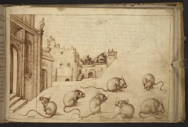 Tilføje. 82955, f.192   Mus (