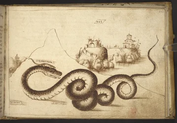 Tilføje. 82955, f.242 En slange (