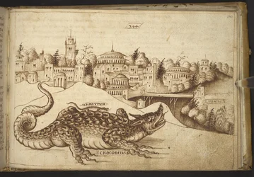Tilføje. 82955, f.243 En krokodille (