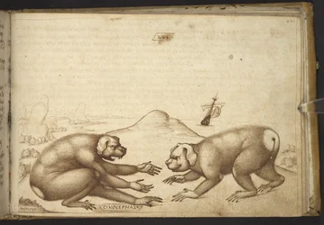 Tilføje. 82955, f.244 Hundelignende væsner, der kæmper (