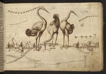 Tilføje. 82955, f.33 Traner (