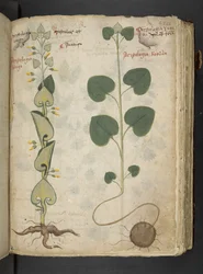 Tilføj MS 41623 