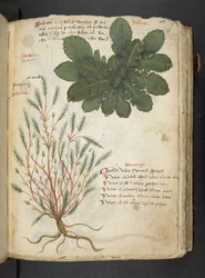 Tilføj MS 41623 