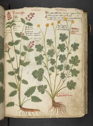 Tilføj MS 41623 