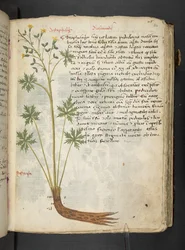 Tilføj MS 41623 