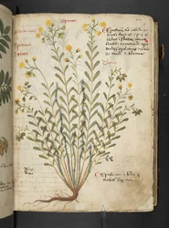Tilføj MS 41623 