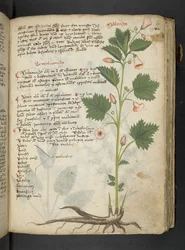 Tilføj MS 41623 