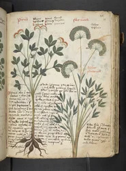 Tilføj MS 41623 