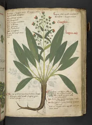 Tilføj MS 41623 