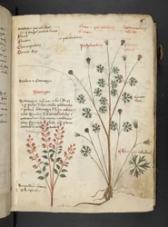 Tilføj MS 41623 