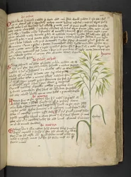 Tilføj MS 41623 