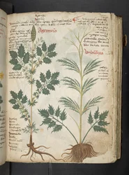 Tilføj MS 41623 