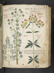 Tilføj MS 41623 