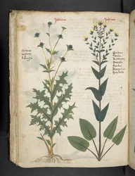Tilføj MS 41623 