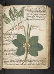 Tilføj MS 41623 