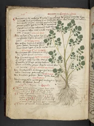 Tilføj MS 41623 f.32v 