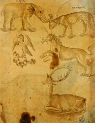 Dyr (pen, blæk og vask på papir)