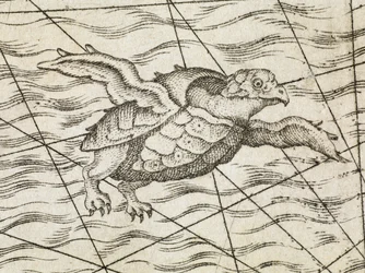 Detalje af en flyvende skildpadde på et kort over Nordeuropa, fra en nylig og nøjagtig beskrivelse af de nordlige regioner i Sverige, Gothia, Norge, Danmark og de tilstødende lande. M. Tramezinis formularer