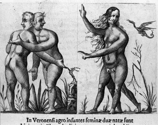 Forskellige typer menneskelige monstre: en mand med dobbelte kroppe og hoveder og en kvinde med fire ben og to køn. Indgravering fra "De monstrorum natura, causis et differentiis" af Fortunio Liceti (1577-1656), italiensk videnskabsmand. 1646