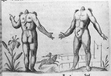 Forskellige typer menneskelige monstre: en mand uden hoved. Indgravering fra "Monstrenes natur, årsager og forskelle" af Fortunio Liceti (1577-1656), italiensk videnskabsmand. 1646