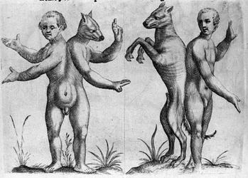 Forskellige typer menneskelige monstre: to skabninger med dobbelte kroppe, halv mand og hund (siamesisk). Gravering fra "Monstrenes natur, deres årsager og forskelle" af Fortunio Selvomi (1577-1656), italiensk videnskabsmand. 1646