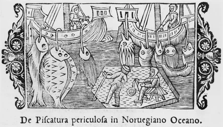 Fiskeri i det norske hav, illustration fra History of the Northern Nations af Olaus Magnus (1490-1558), udgivet i Rom, 1555