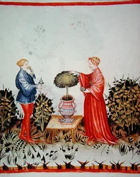 Fol.39v Samling af Basilicum Curatum, illustration fra 