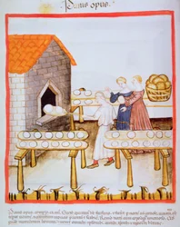 Fol.63v Bagning af brunt brød, illustration fra Tacuinum Sanitatis