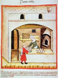 Fol.64v Tilberedning af hirsebrød, illustration fra Tacuinum Santiatis Codex Vindobonensis