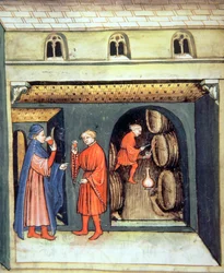 Fol.86v Lagret frugtvin, illustration fra Tacuinum Santiatis Codex Vindobonensis