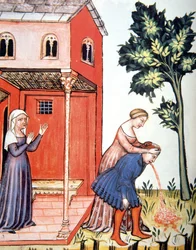 Fol.99v Throwing Up, illustration fra Tacuinum Santiatis Codex Vindobonensis