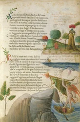 Fol. 62r, 
