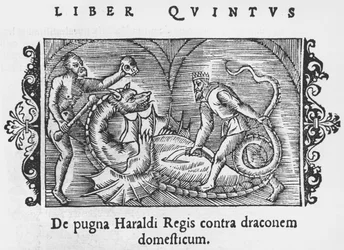 Kong Harald kæmper mod en drage, illustration fra History of the Northern Nations af Olaus Magnus (1490-1558), udgivet i Rom, 1555