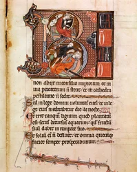 Lettrine B dekoreret af repræsentationen af kong David, der spiller pslaterion, og hvem dæk Goliath Page fra manuskriptet "" Psalterium Cum Calendario"" Padua fra det 13. århundrede, seminariets bibliotheque