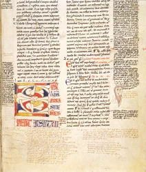 Ms. McClean 135, f.96r: detalje af en planteform, historisk initial C fra Gratians Decretum, slutningen af det 12. århundrede