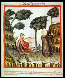 Nova 2644 fol.58v Nordenvinden, fra Tacuinum Sanitatis