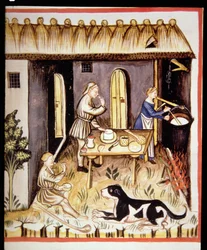 Nova 2644 fol.62r Tilberedning af hvid ost, fra Tacuinum Sanitatis