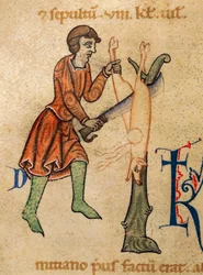 November, Slagterkvartersgris, Miniature fra Martyrology of Adonis, Italien