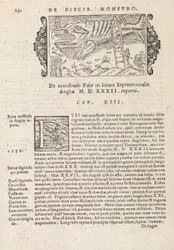 Side 742 fra History of the Northern Gentivus af Magnus Olaus, Rom 1565 (tryk og gravering)